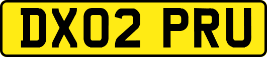 DX02PRU