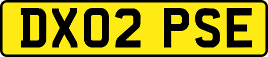 DX02PSE