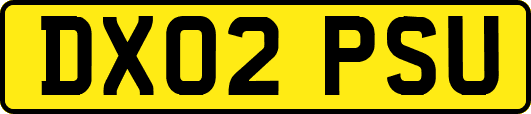 DX02PSU