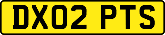 DX02PTS