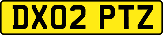 DX02PTZ