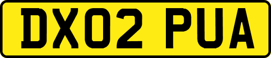 DX02PUA