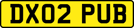 DX02PUB