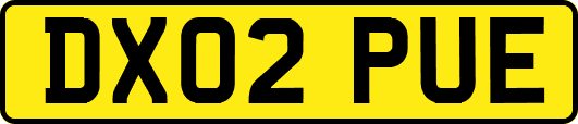 DX02PUE