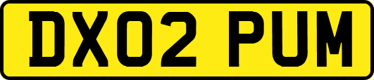 DX02PUM