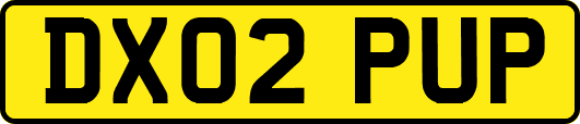 DX02PUP