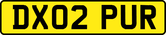 DX02PUR