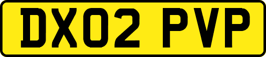DX02PVP