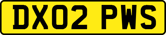 DX02PWS