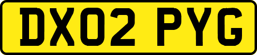 DX02PYG