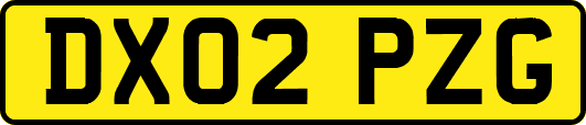 DX02PZG