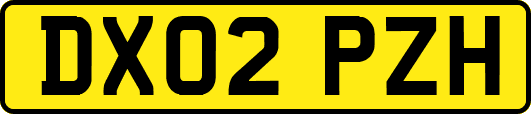 DX02PZH