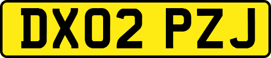 DX02PZJ
