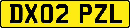 DX02PZL