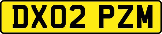 DX02PZM