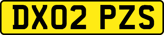 DX02PZS
