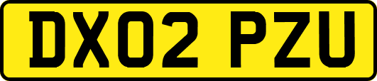 DX02PZU
