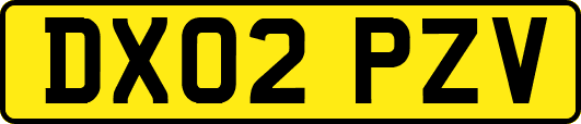 DX02PZV