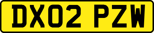 DX02PZW
