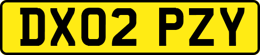 DX02PZY