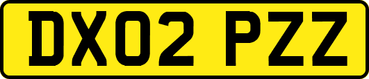 DX02PZZ