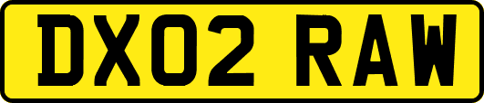 DX02RAW