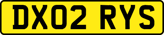 DX02RYS