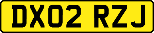 DX02RZJ