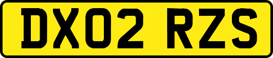 DX02RZS