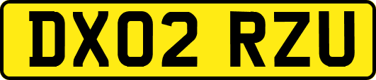 DX02RZU