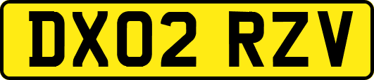 DX02RZV