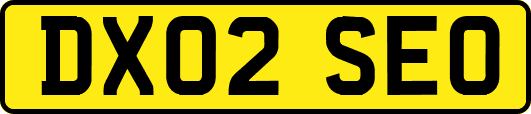 DX02SEO