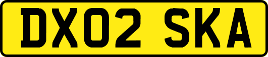 DX02SKA