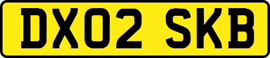 DX02SKB