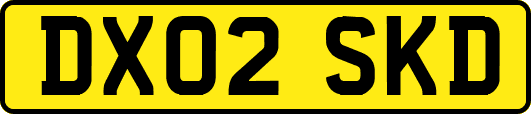 DX02SKD