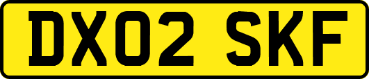 DX02SKF