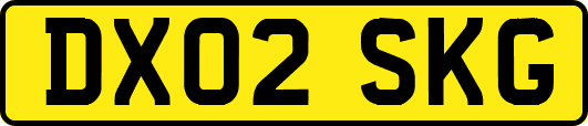 DX02SKG