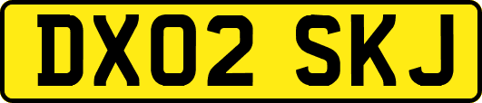 DX02SKJ