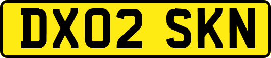 DX02SKN