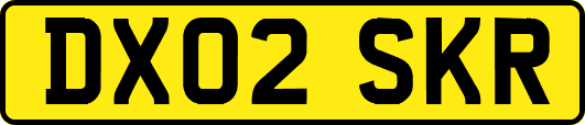 DX02SKR