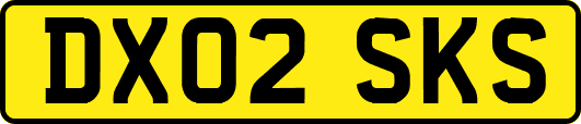 DX02SKS