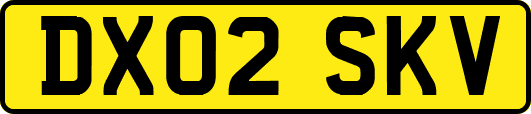 DX02SKV