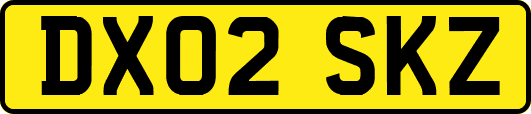 DX02SKZ