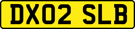 DX02SLB