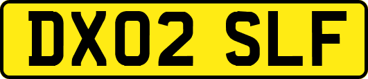 DX02SLF