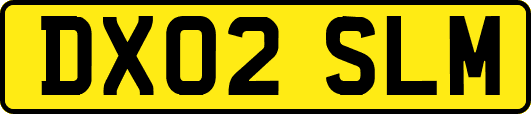 DX02SLM