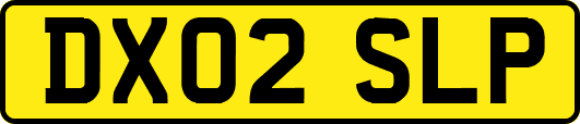 DX02SLP