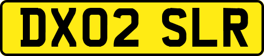 DX02SLR