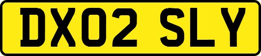 DX02SLY