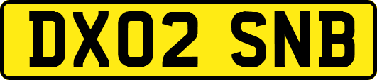 DX02SNB